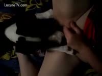 Dog oral sex a hoe's pussy